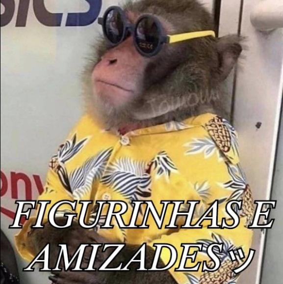 Figurinhas e Amizades