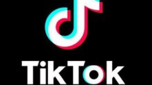 Seguidores TikTok