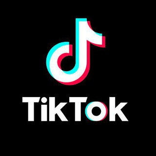 Seguidores TikTok