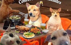 Grupo de amigos engraçados