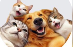 Grupo de Pet